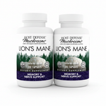 Lion's Mane Pack of 2 - White Background