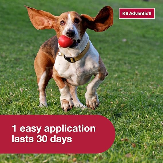 K9 Advantix II Medium Dog Vet-Recommended Flea, Tick &t & Prevention | Dogs 11–20 lbs.