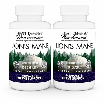 Lion's Mane Pack of 1 - White Background