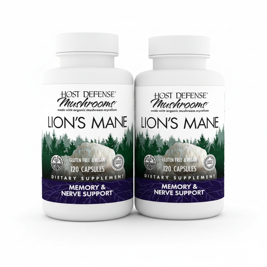 Lion's Mane Pack of 2 - White Background
