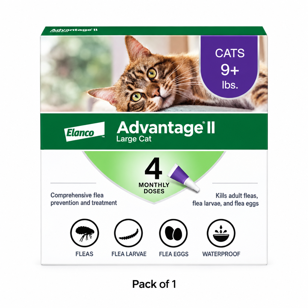 Pack of 1