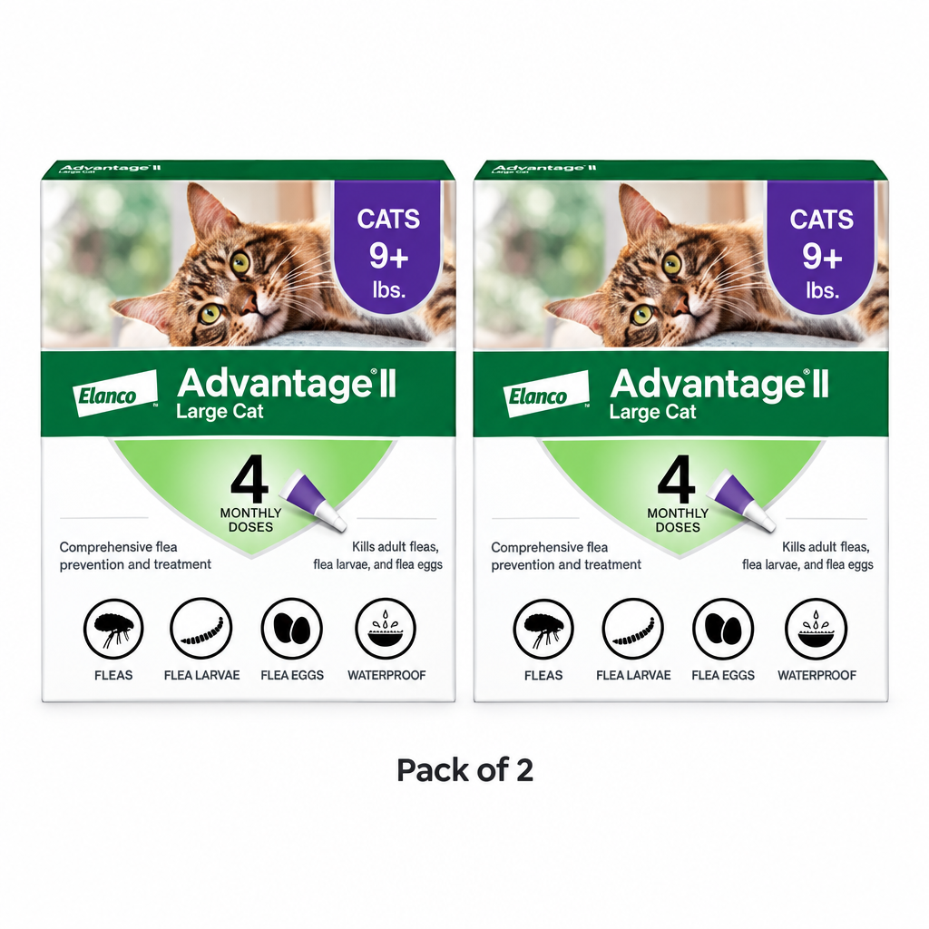 Pack of 2