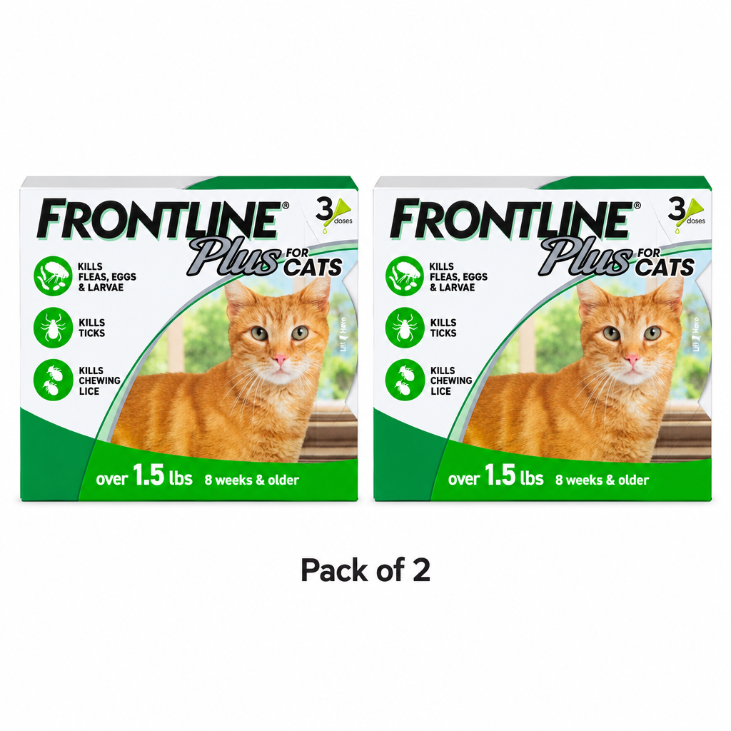 Pack of 2