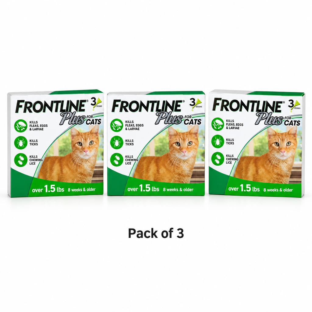 Pack of 3