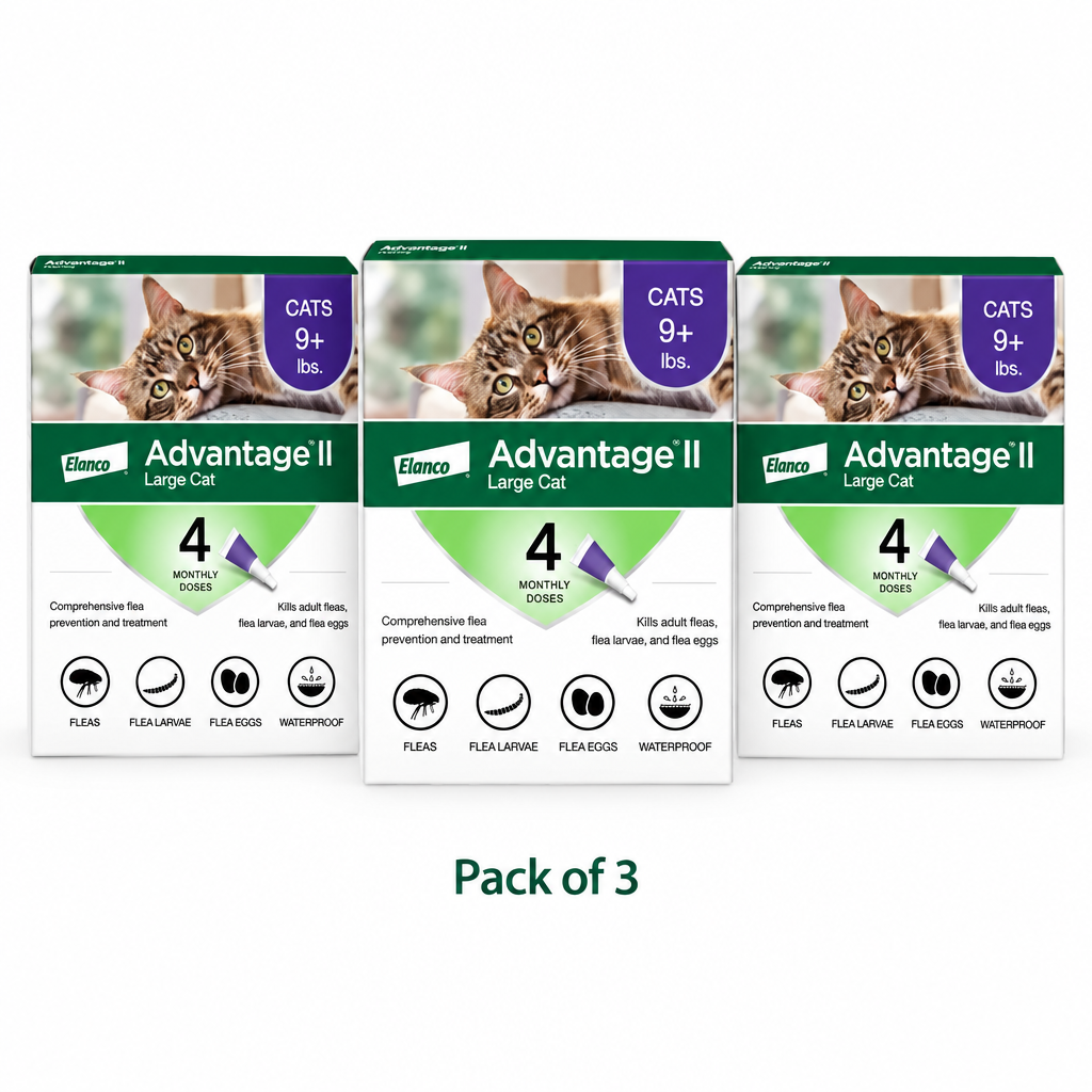 Pack of 3