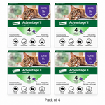 Pack of 4