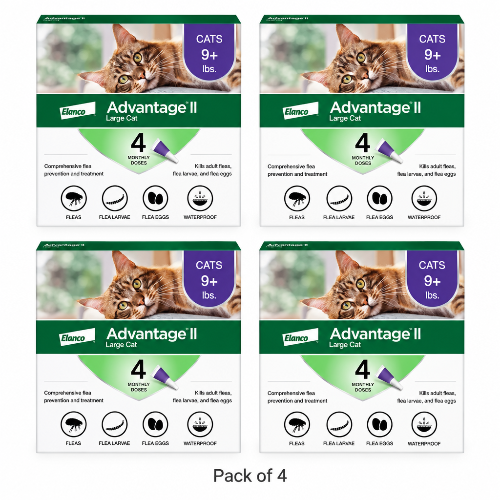 Pack of 4