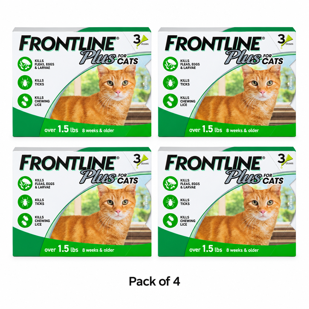 Pack of 4
