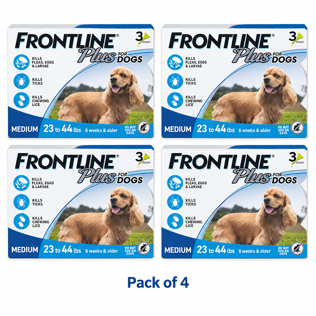 Pack of 4