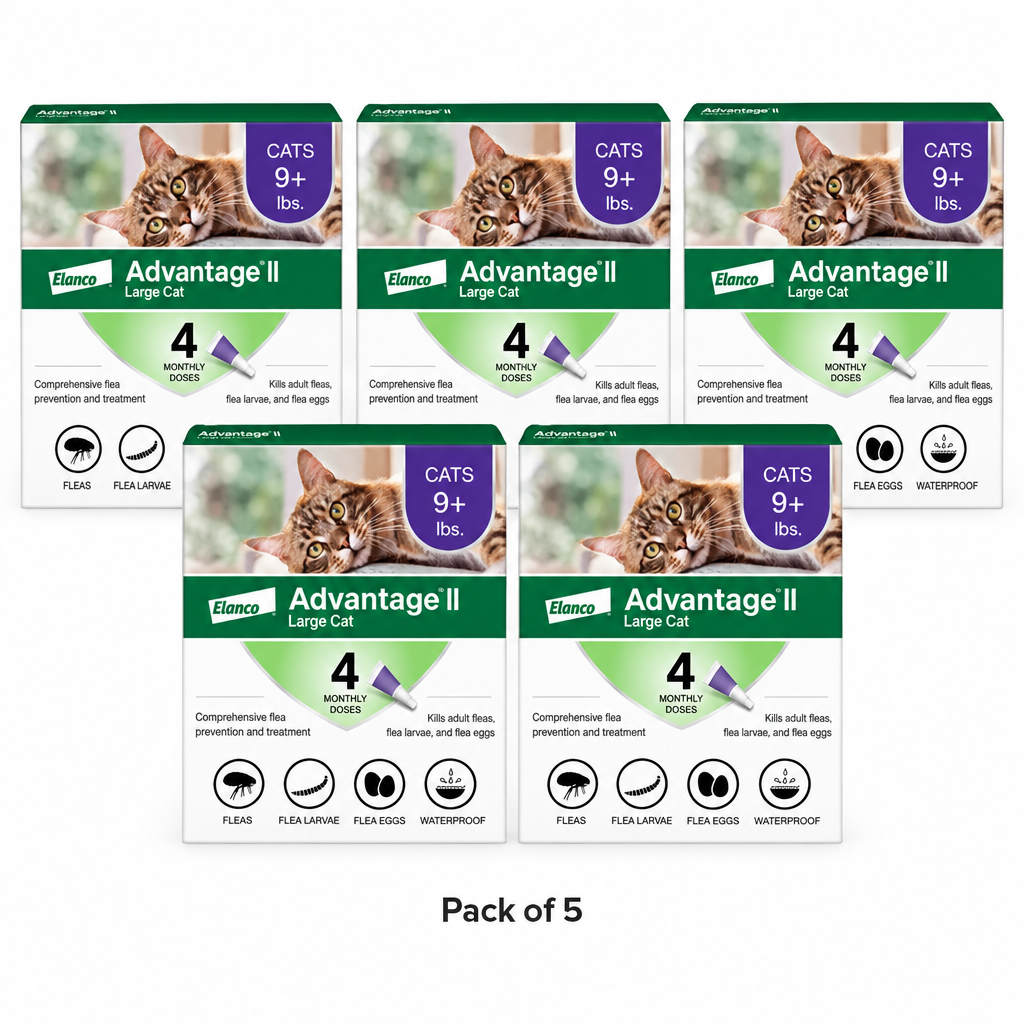 Pack of 5