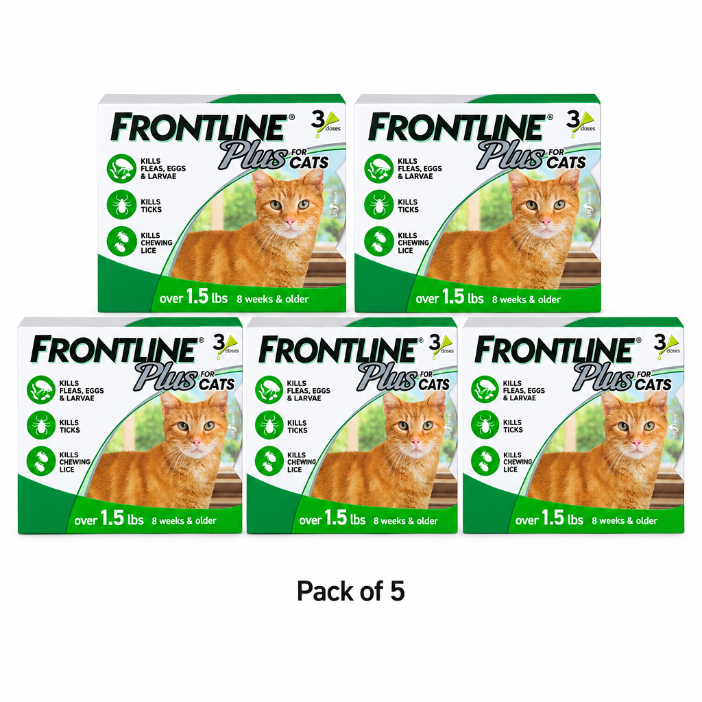 Pack of 5