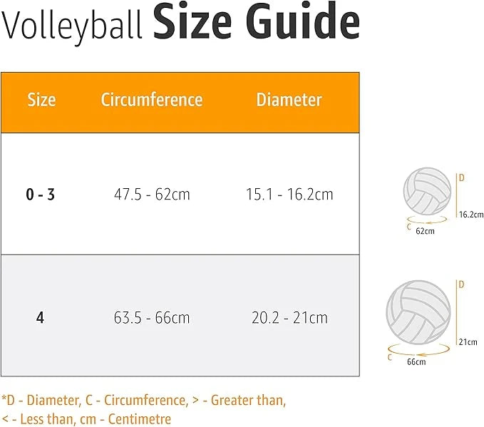 Molten volleyball Blue